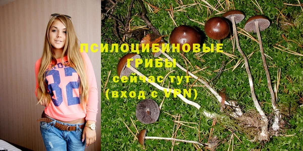 дурь Лабытнанги