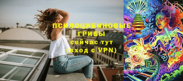 дурь Лабытнанги