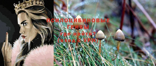 дурь Лабытнанги