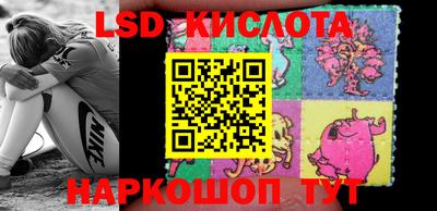 амф Кимры