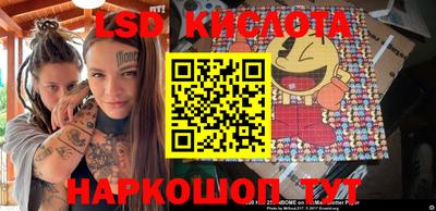 амф Кимры