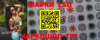 кокс Кингисепп