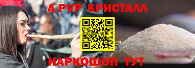 кокс Кингисепп